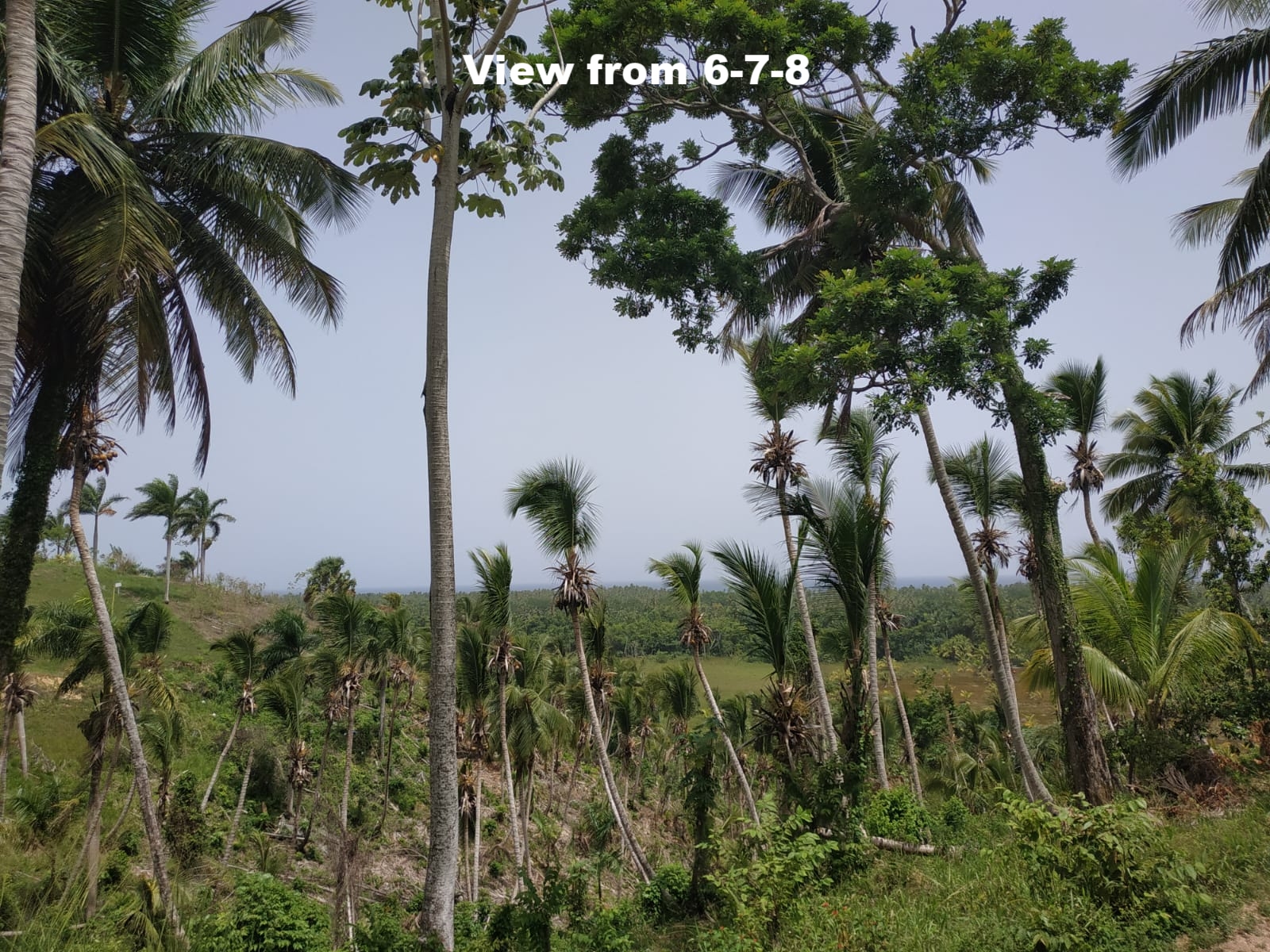 Land to build villa in Las Terrenas DR24.jpeg