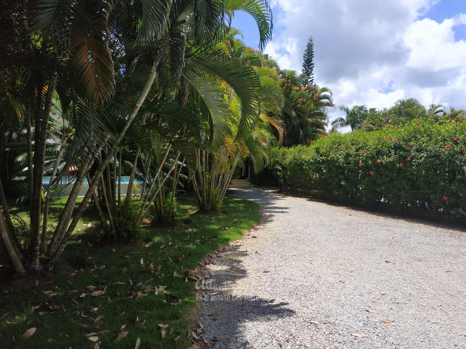Villa Authentic Carribean Real Estate Las Terrenas Dominican Republic17.jpg