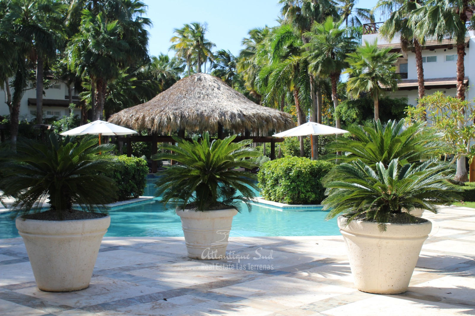 Apartments near the beach real estate las terrenas dominican republic50.jpg