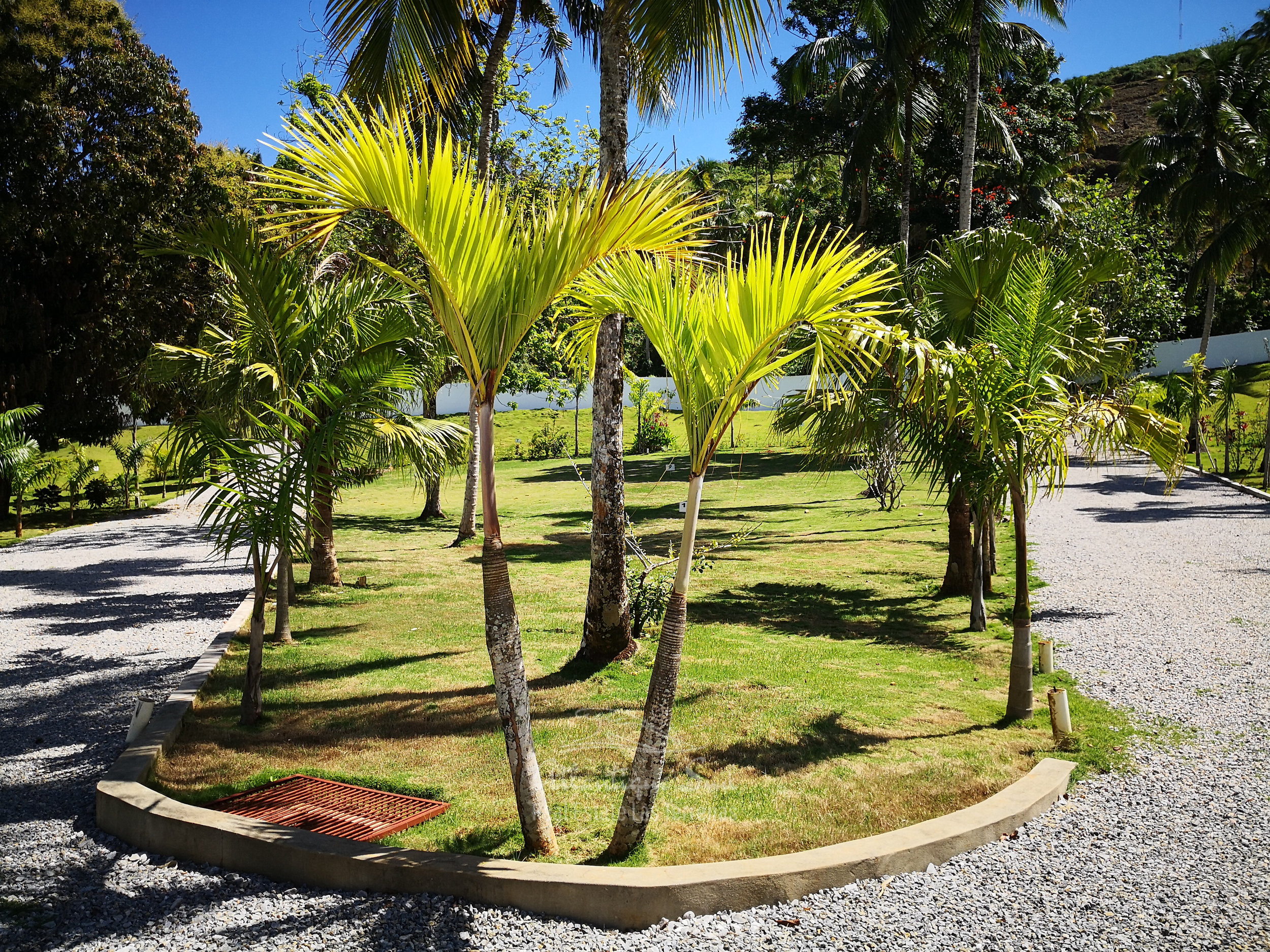 Ready to build lands for sale in Las Terrenas Real Estate Dominican Republic5.jpg