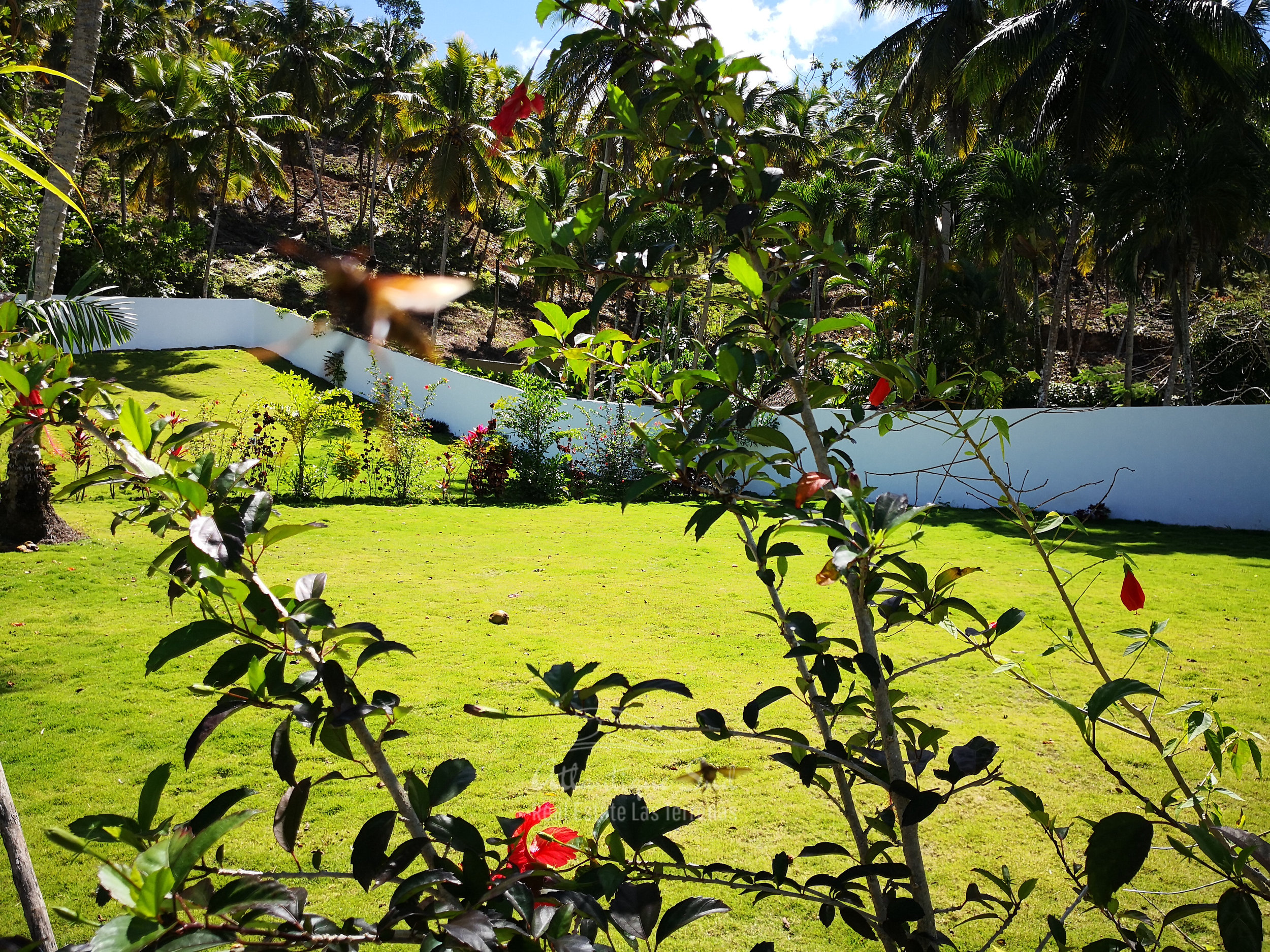 Ready to build lands for sale in Las Terrenas Real Estate Dominican Republic7.jpg
