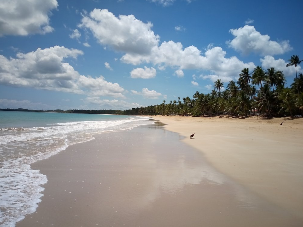 Coson beach Las Terrenas.png