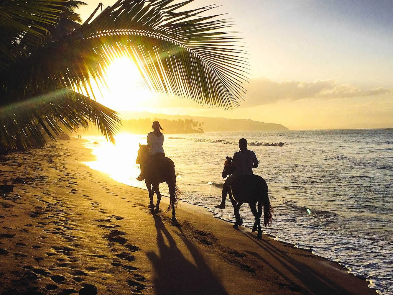 Activities & things in las terrenas horseback riding.jpg