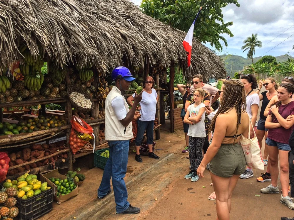 Cofee trail samana.jpg