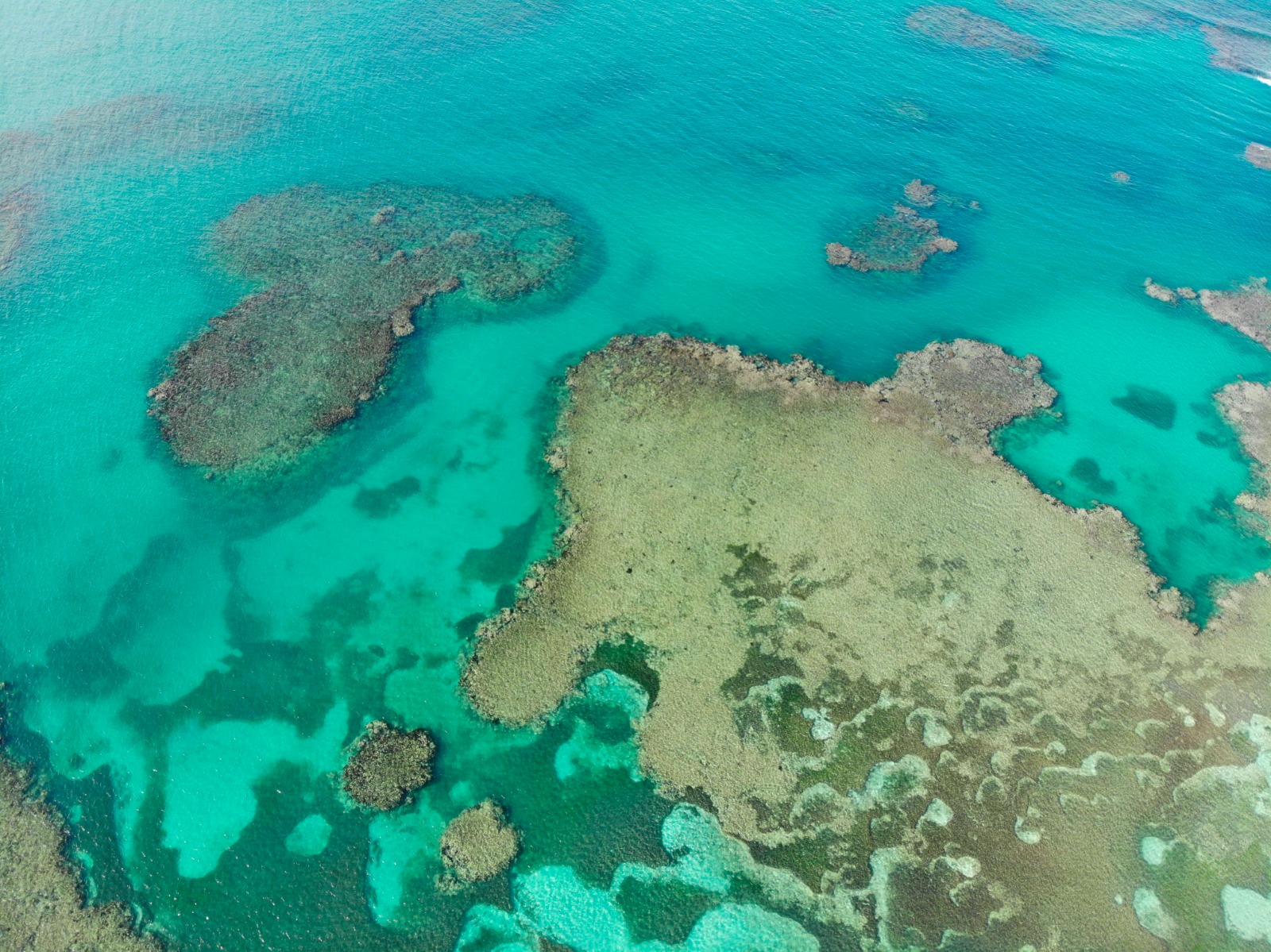 Diving in Las Terrenas.jpeg