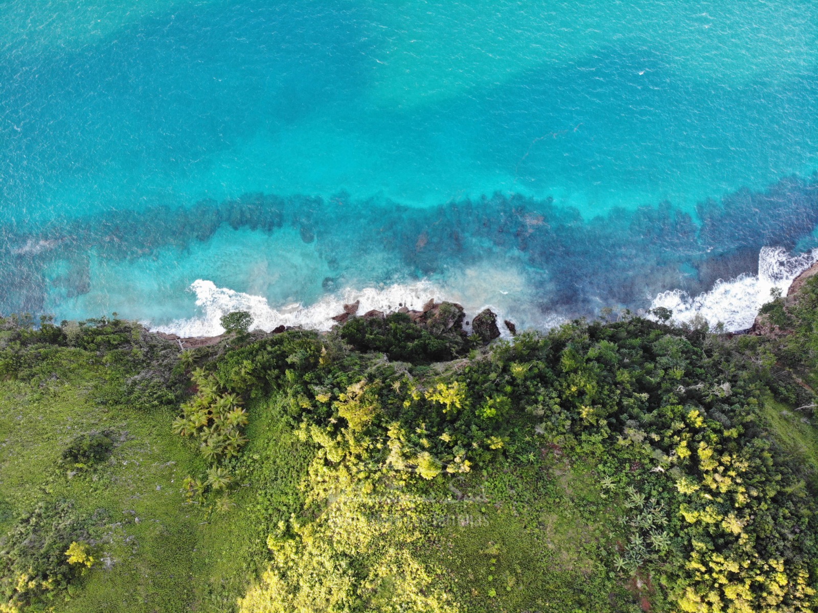 Cliff Land for Sale Las Terrenas 12.jpeg