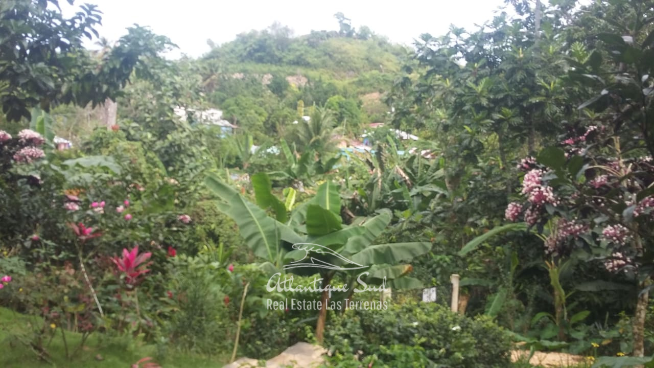 Charming villa and guest apartment in tropical garden Real Estate Las Terrenas Dominican Republic16.jpeg