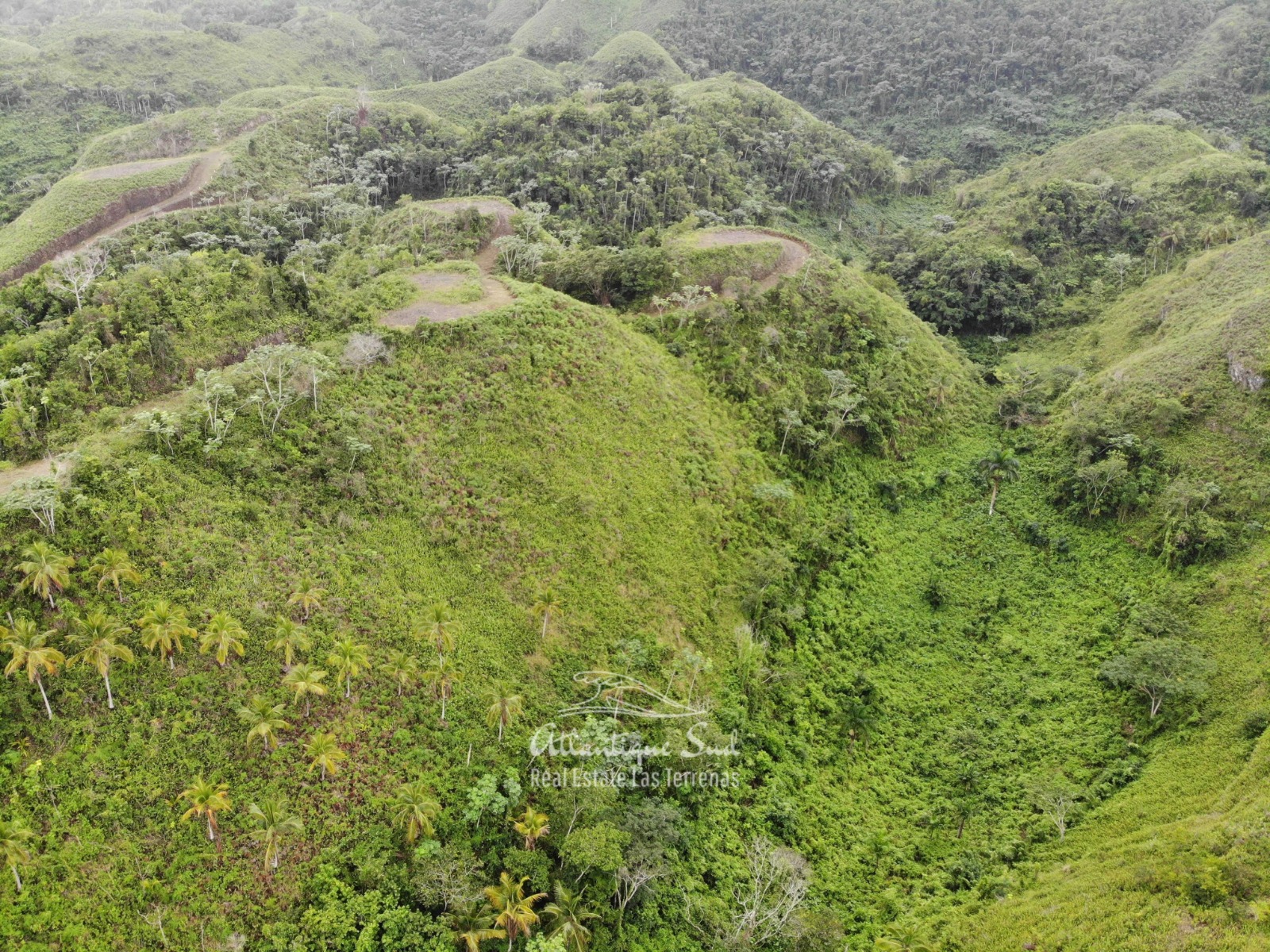 Hills for sale in Las Terrenas Dominican Republic 2.jpeg