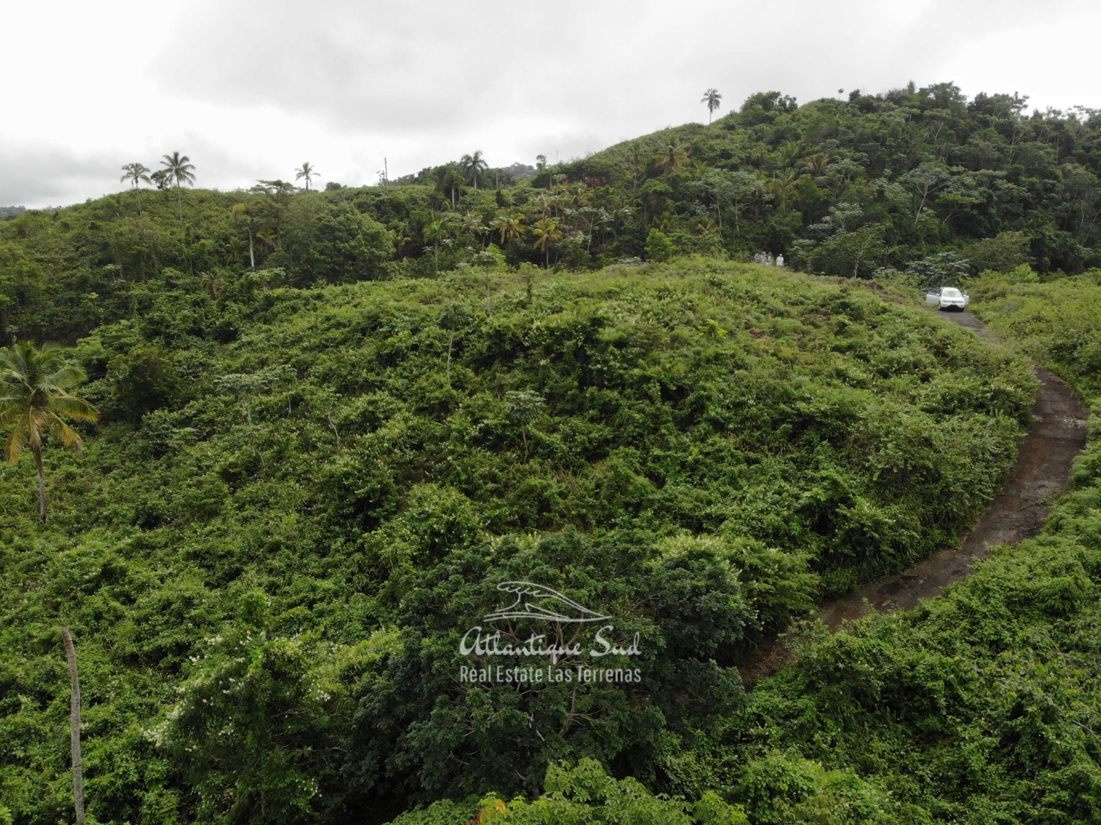 Hills for sale in Las Terrenas Dominican Republic 8.jpeg