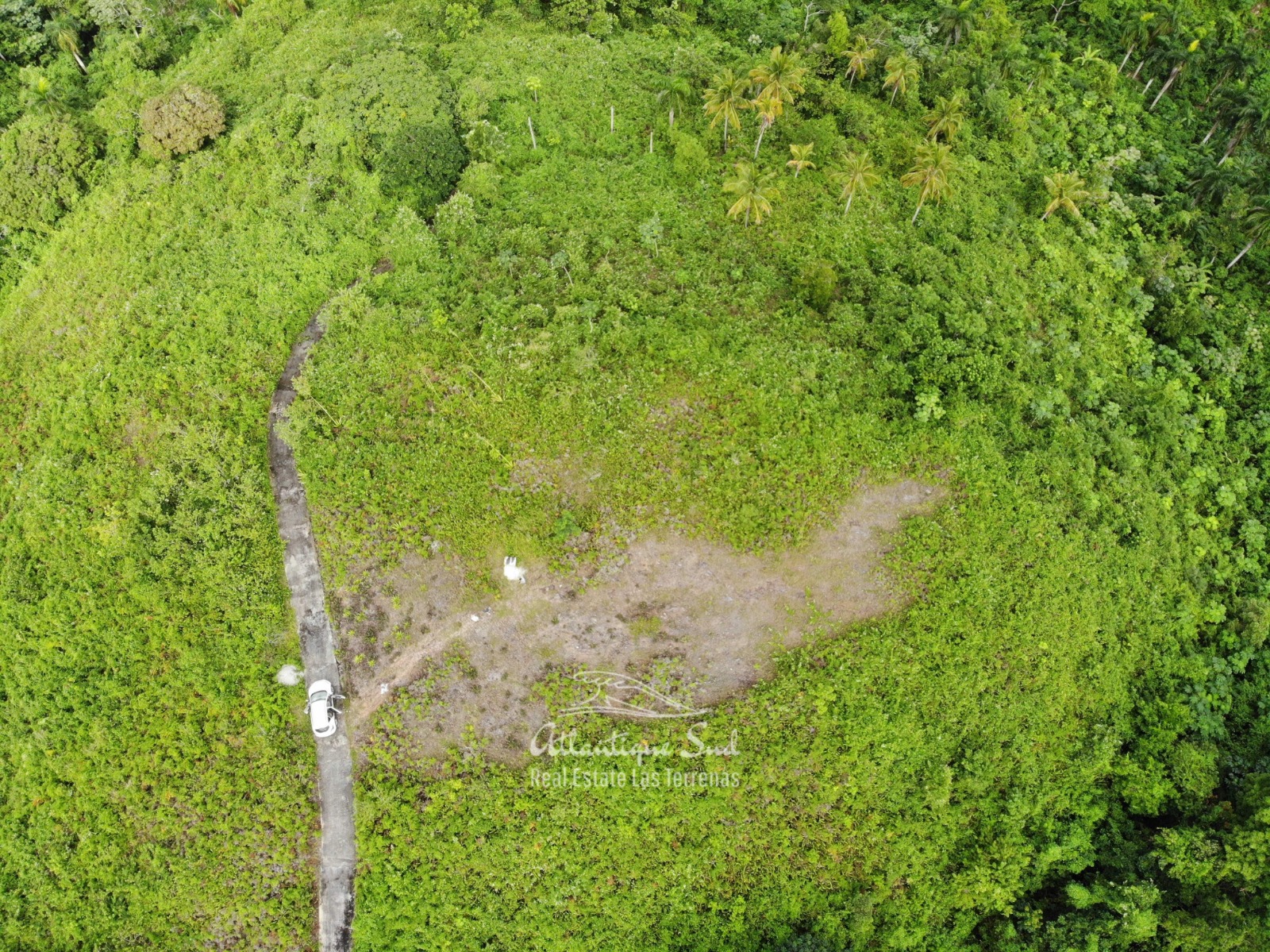 Hills for sale in Las Terrenas Dominican Republic 10.jpeg