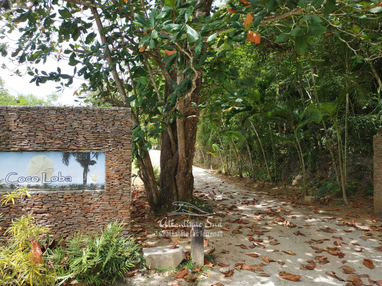 Co-own ocean villa in Las Terrenas Dominican Republic 3.jpg
