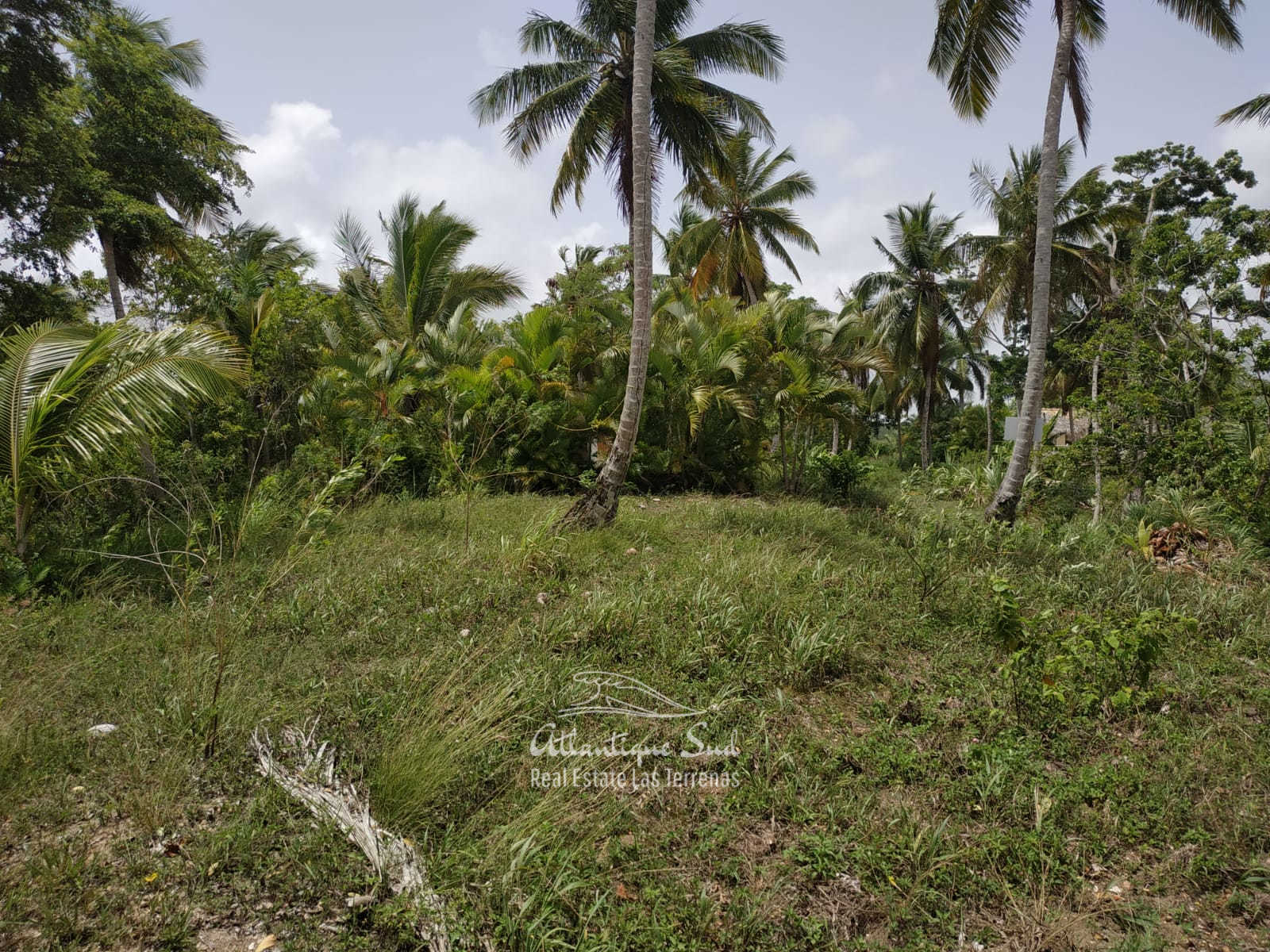 Co-own ocean villa in Las Terrenas Dominican Republic 4.jpg
