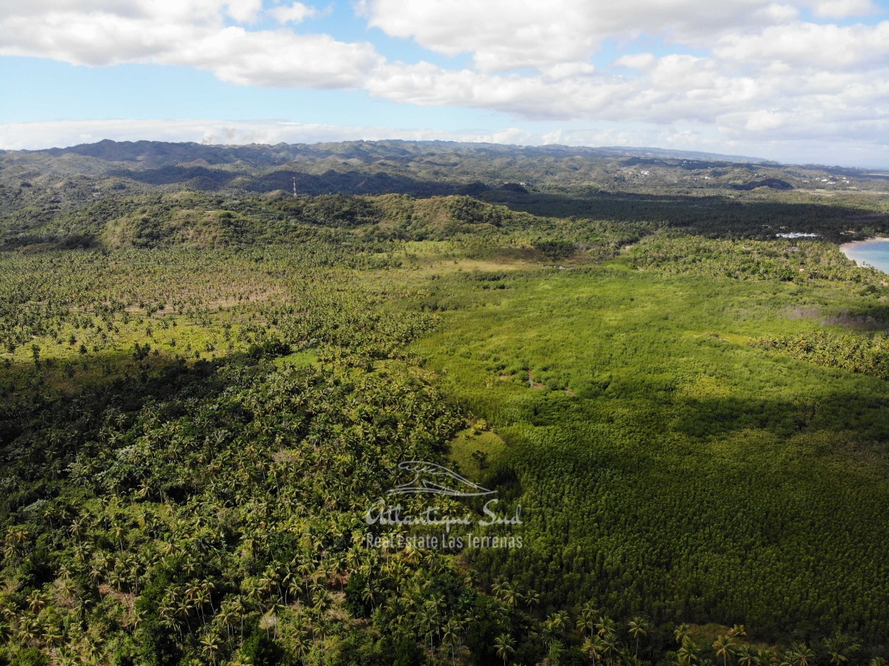 Land for sale El Limon Las Terrenas DR 4.jpeg