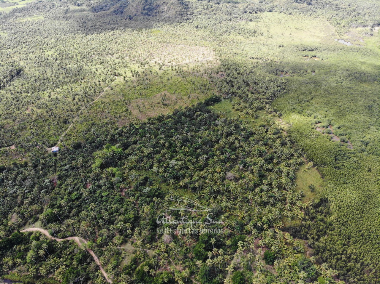 Land for sale El Limon Las Terrenas DR 8.jpeg