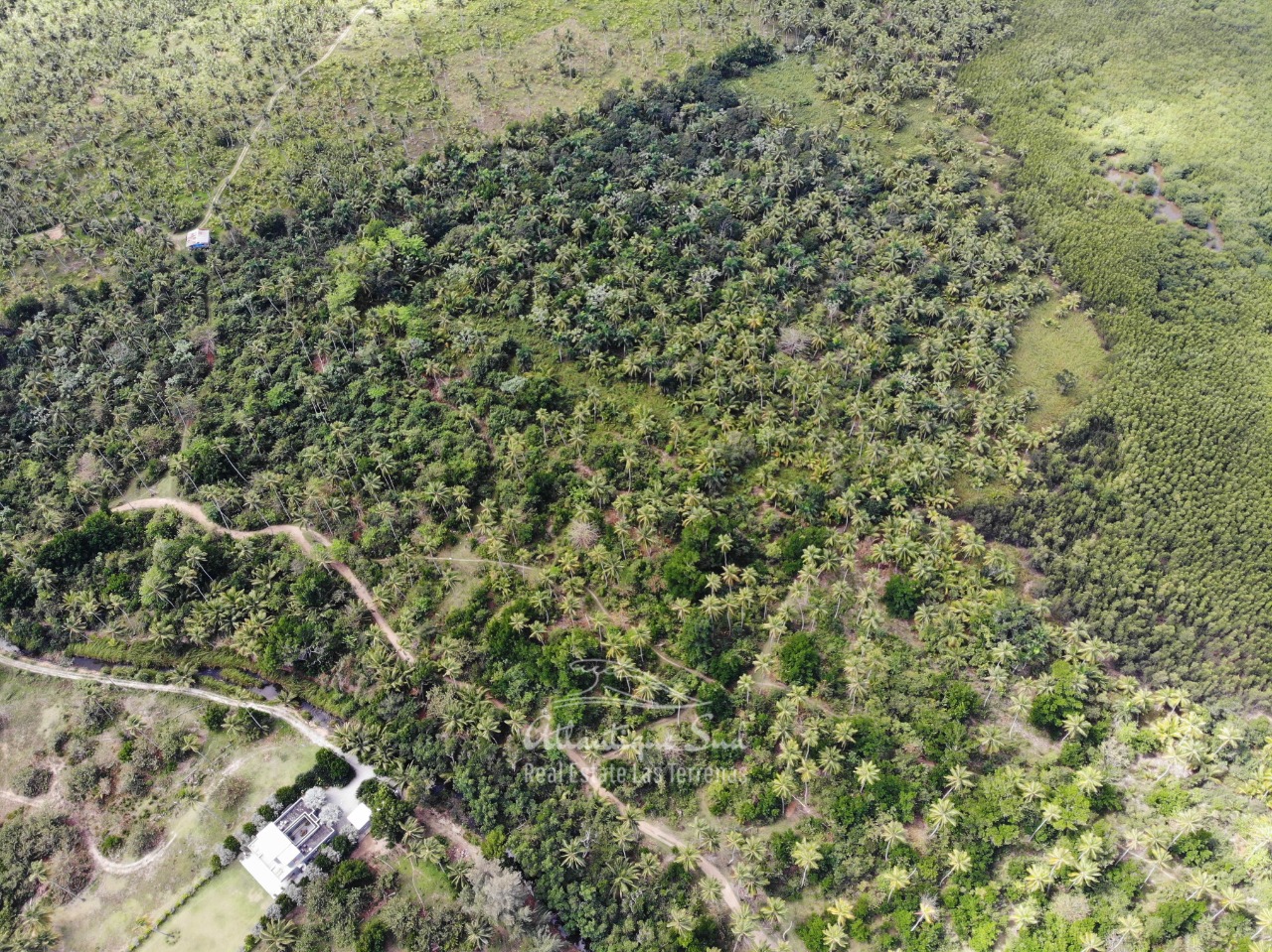 Land for sale El Limon Las Terrenas DR 9.jpeg