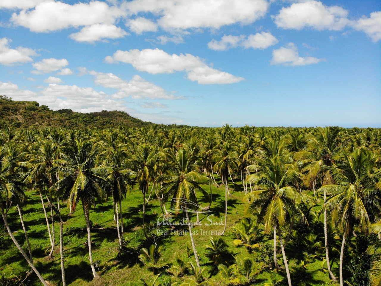 Land for sale El Limon Las Terrenas DR 19.jpeg