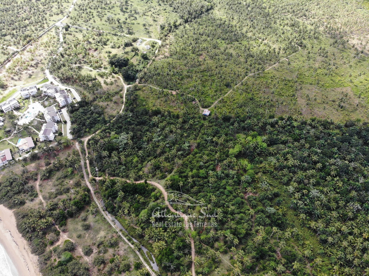 Land for sale El Limon Las Terrenas DR 20.jpeg