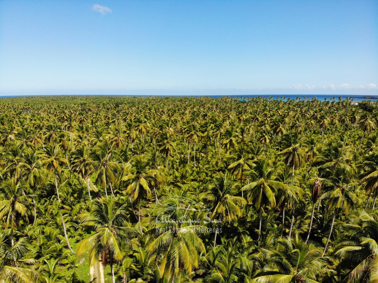 Land for sale El Limon Las Terrenas DR 21.jpeg