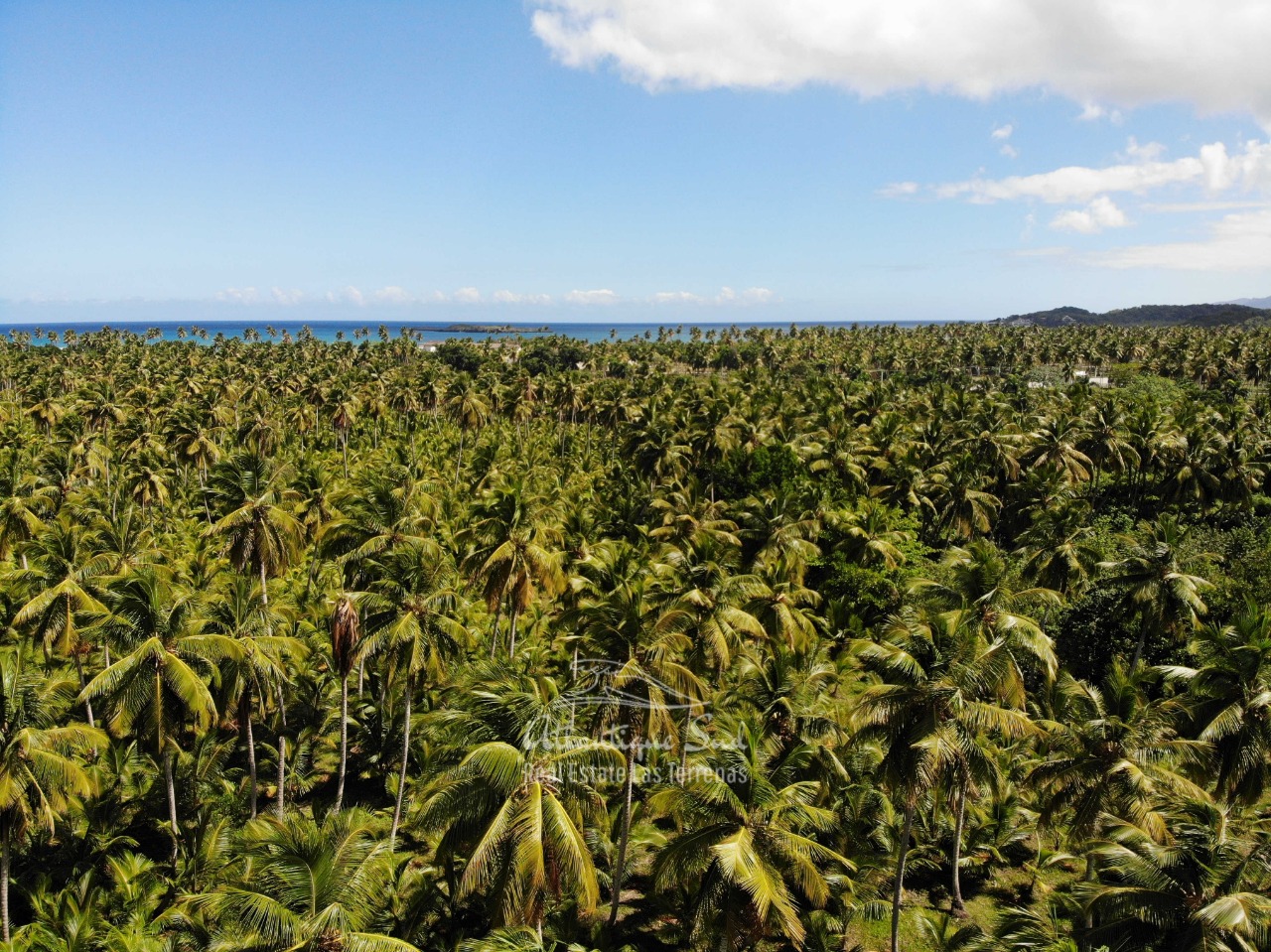 Land for sale El Limon Las Terrenas DR 22.jpeg