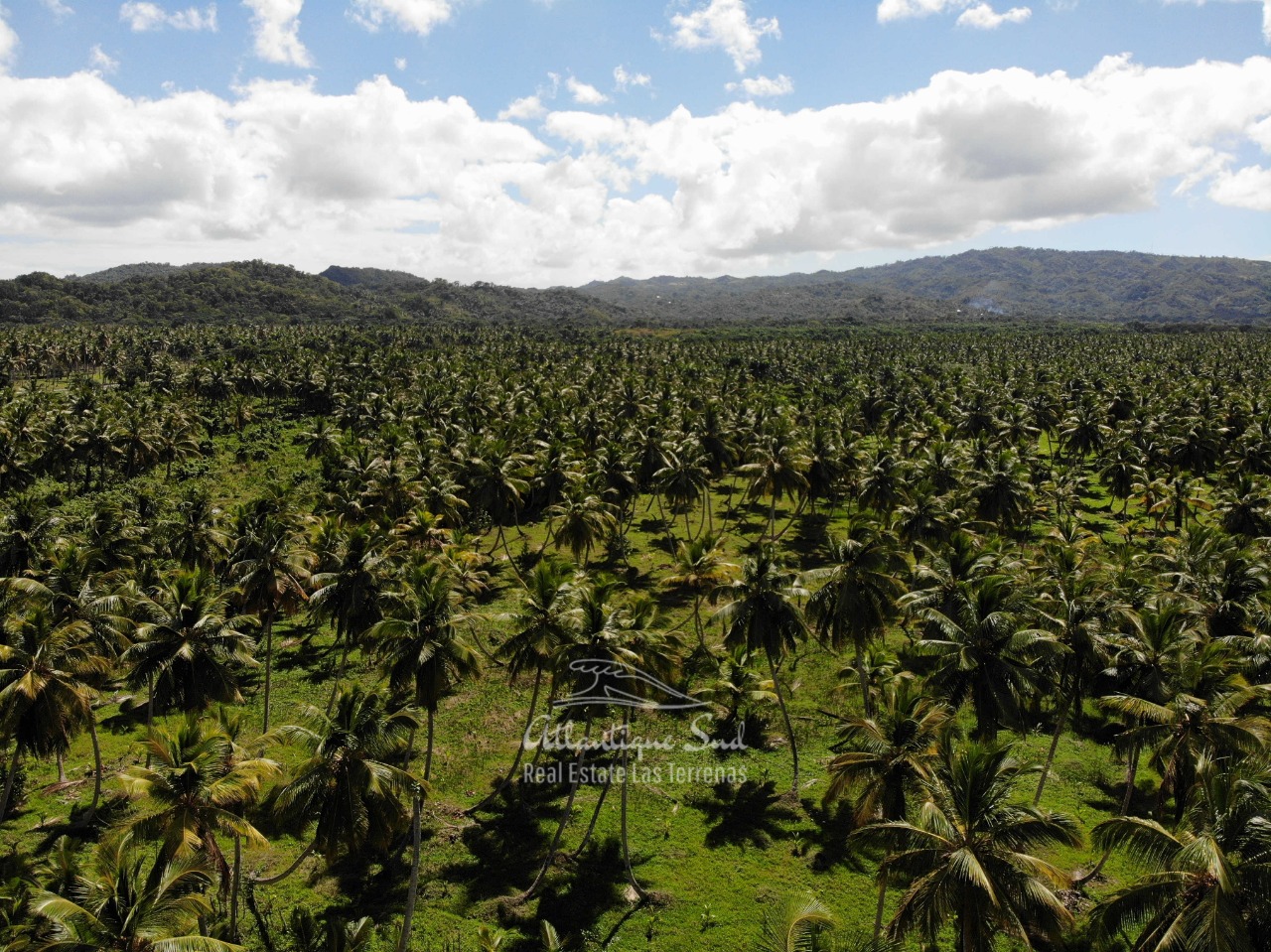 Land for sale El Limon Las Terrenas DR 23.jpeg