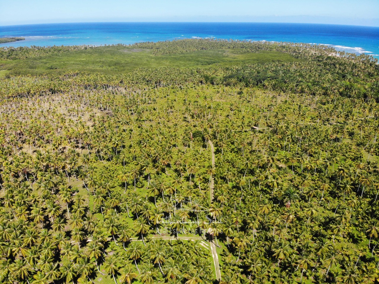 Land for sale El Limon Las Terrenas DR 27.jpeg