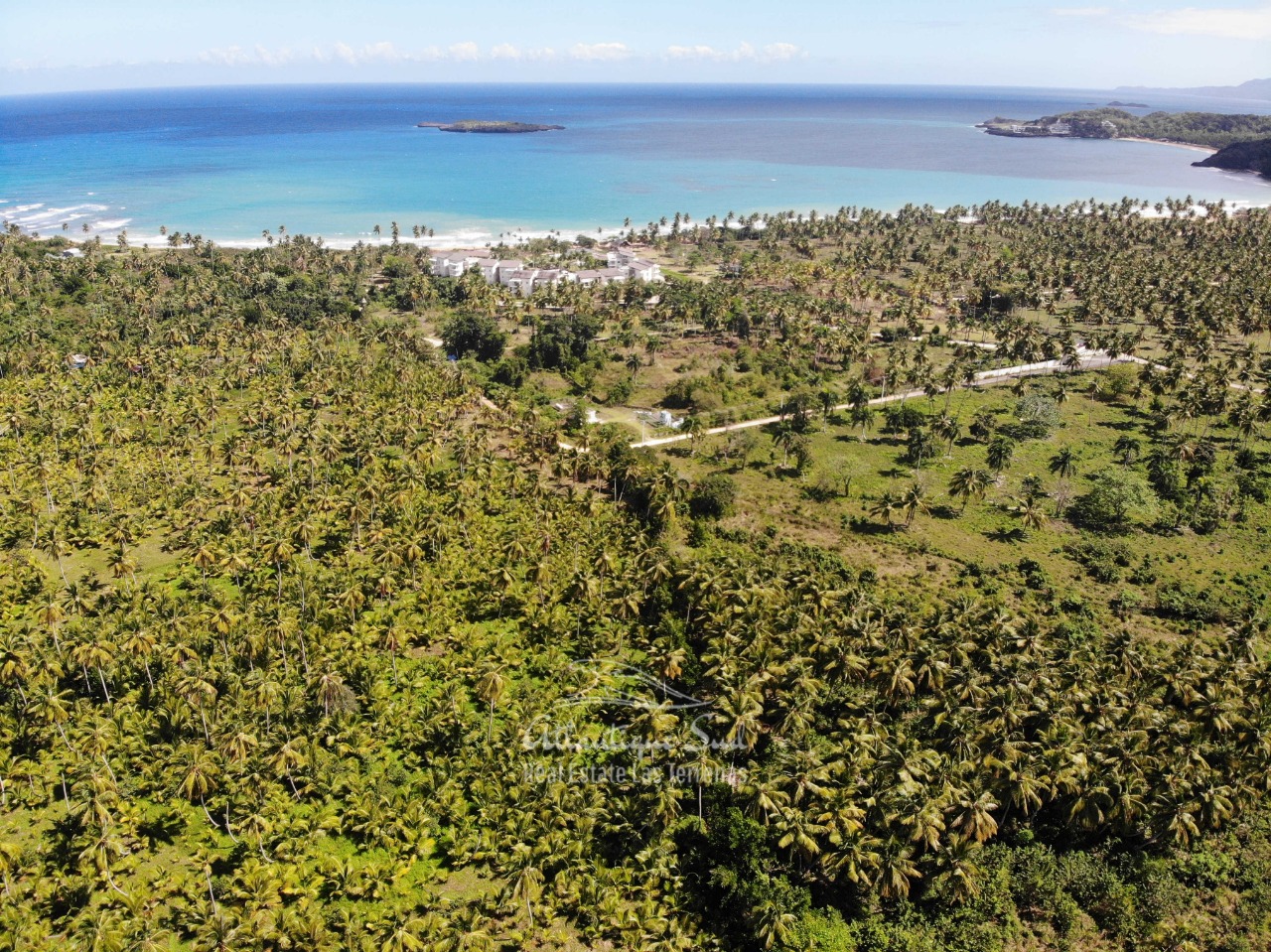 Land for sale El Limon Las Terrenas DR 28.jpeg