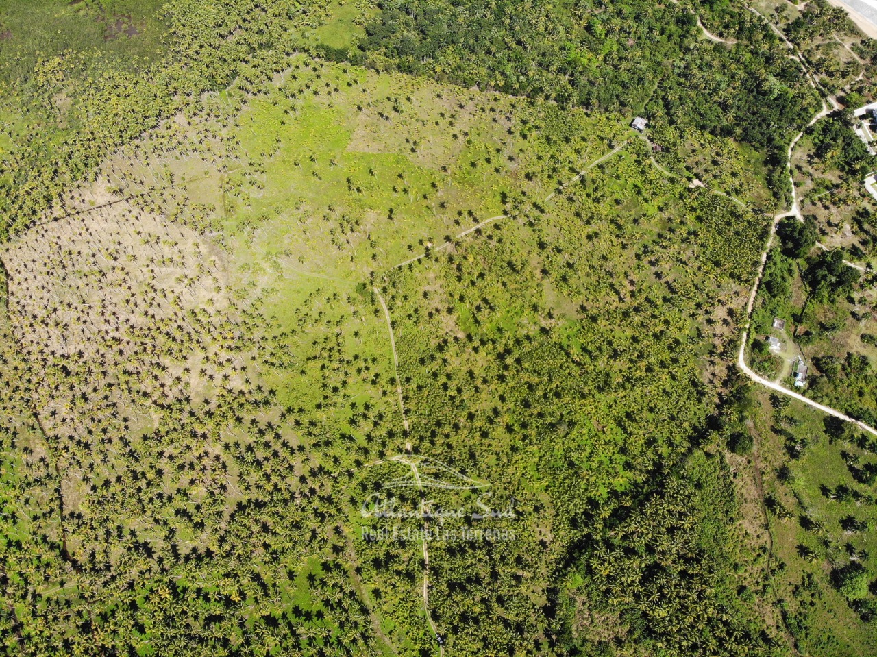 Land for sale El Limon Las Terrenas DR 29.jpeg