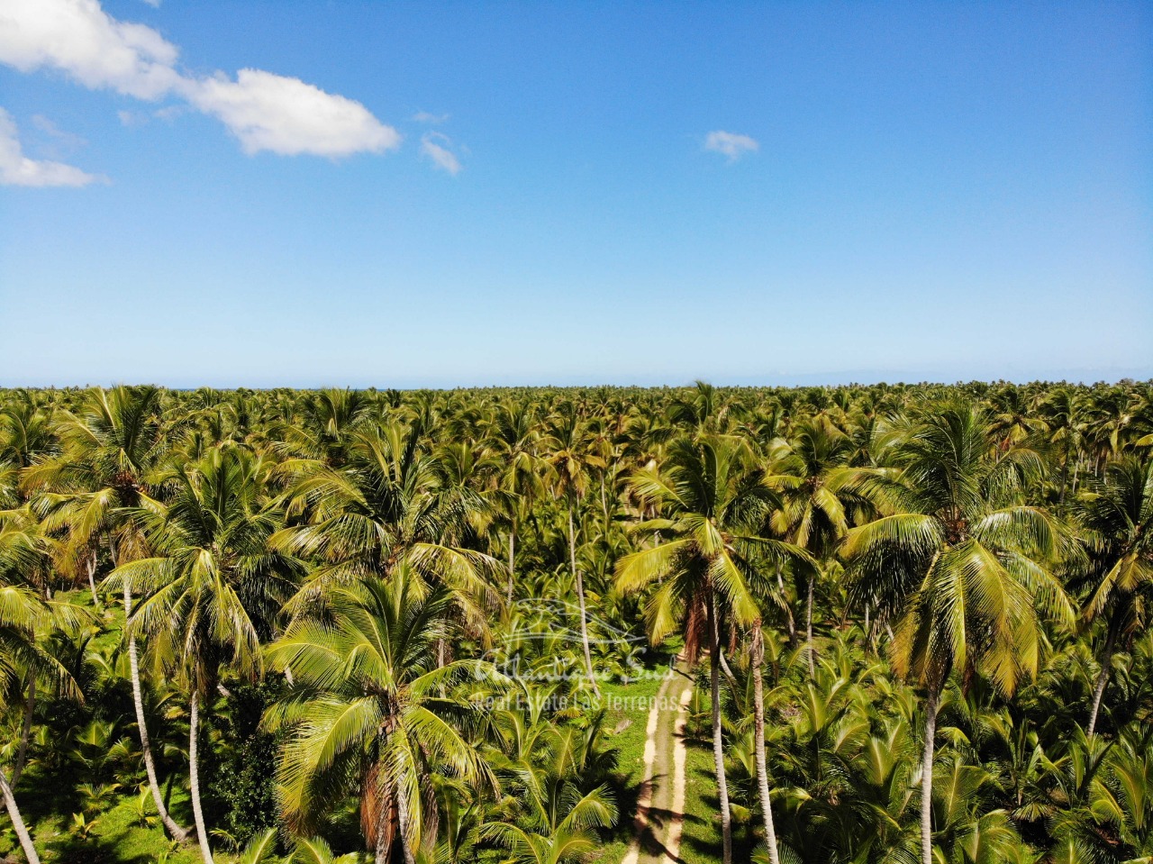 Land for sale El Limon Las Terrenas DR 30.jpeg