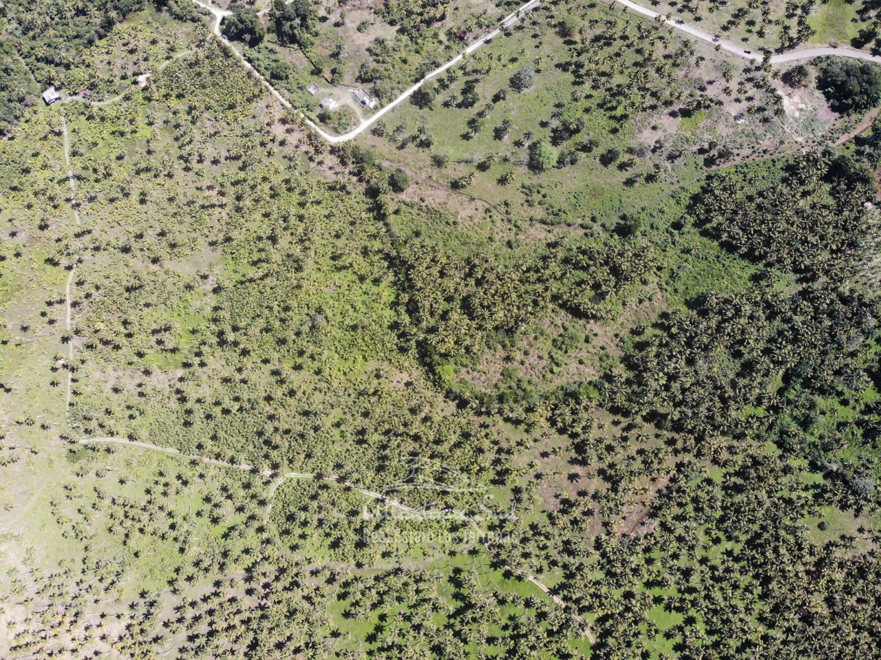 Land for sale El Limon Las Terrenas DR 31.jpeg