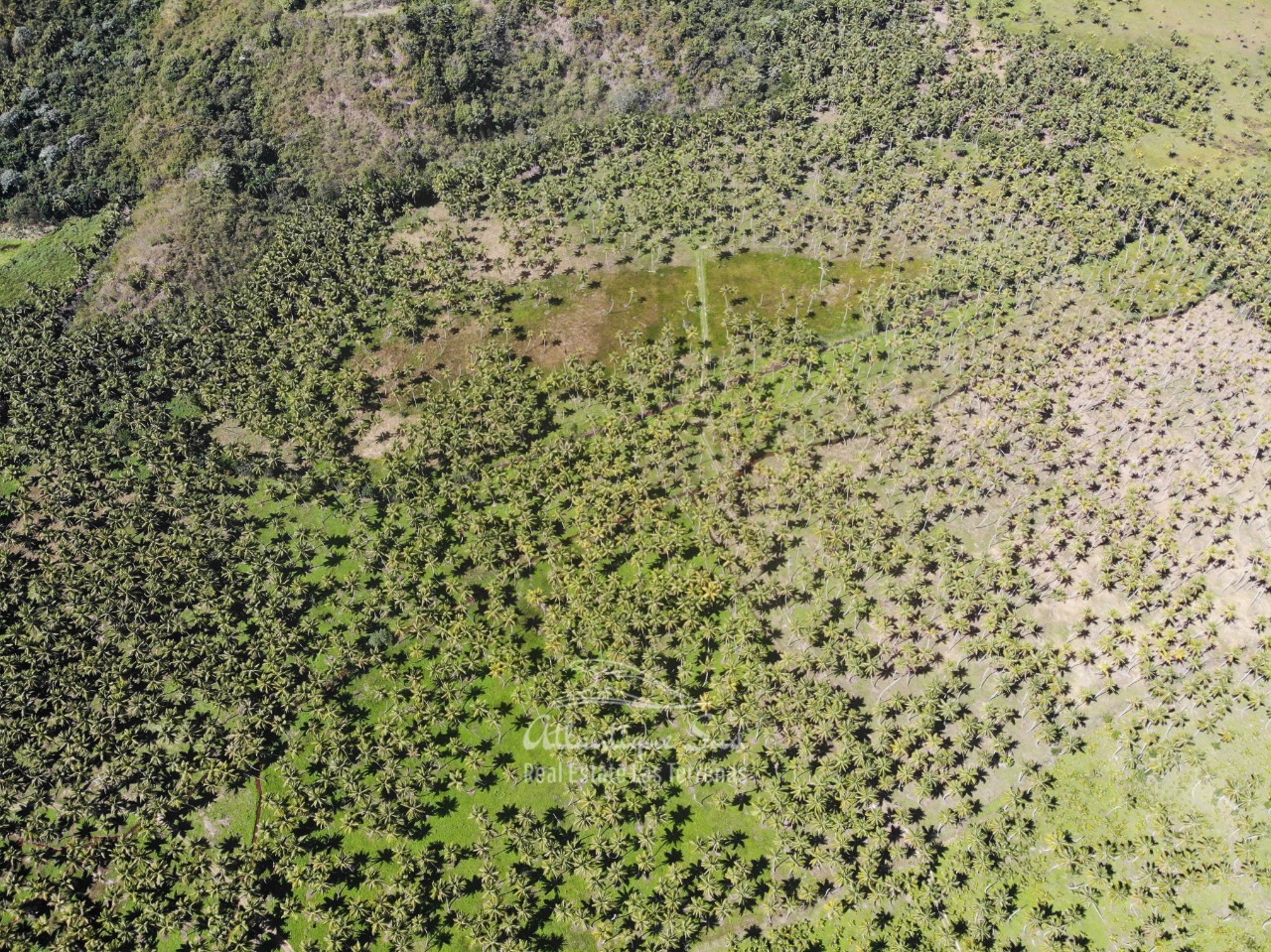 Land for sale El Limon Las Terrenas DR 34.jpeg