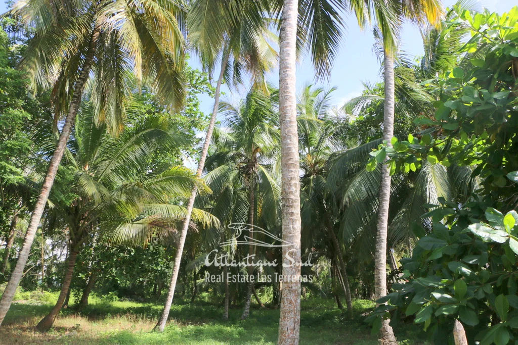 Prime beachfront lot 11.jpg