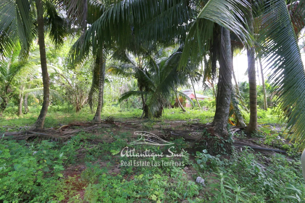 Prime beachfront lot 10.jpg