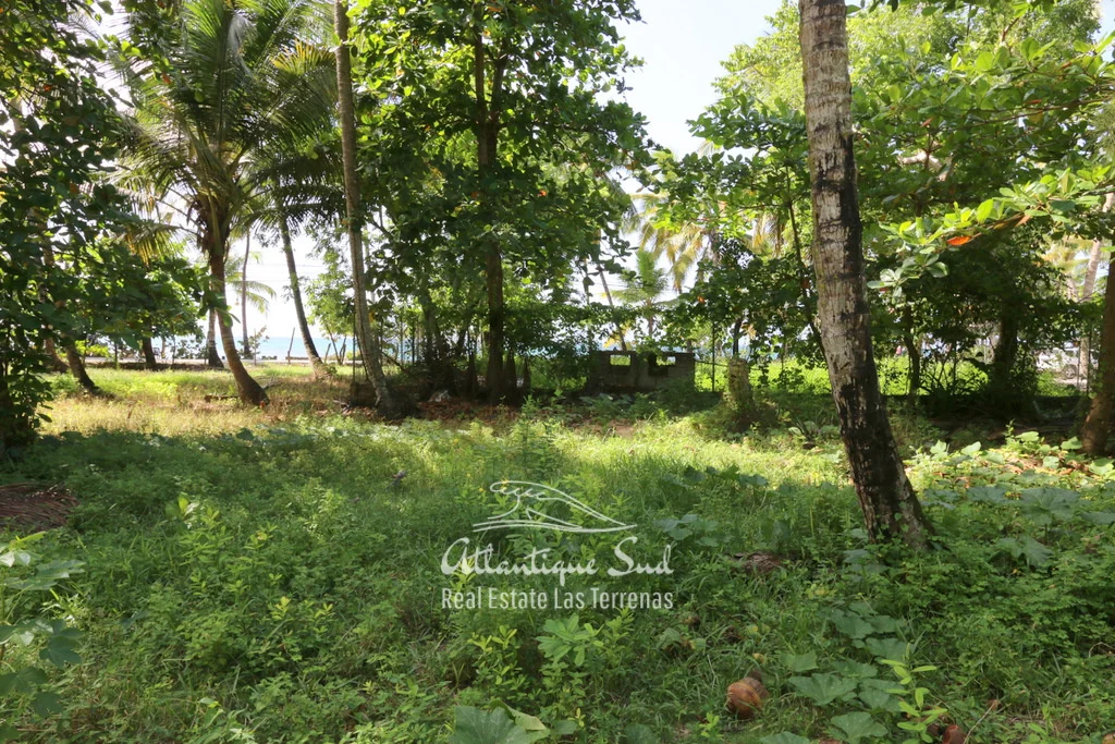 Prime beachfront lot 12.jpg