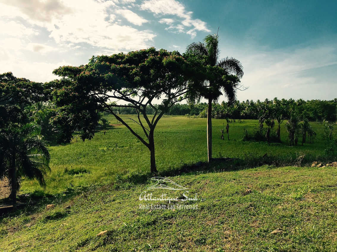 Lot for sale in Esperanza Portillo Las Terrenas 3.jpg