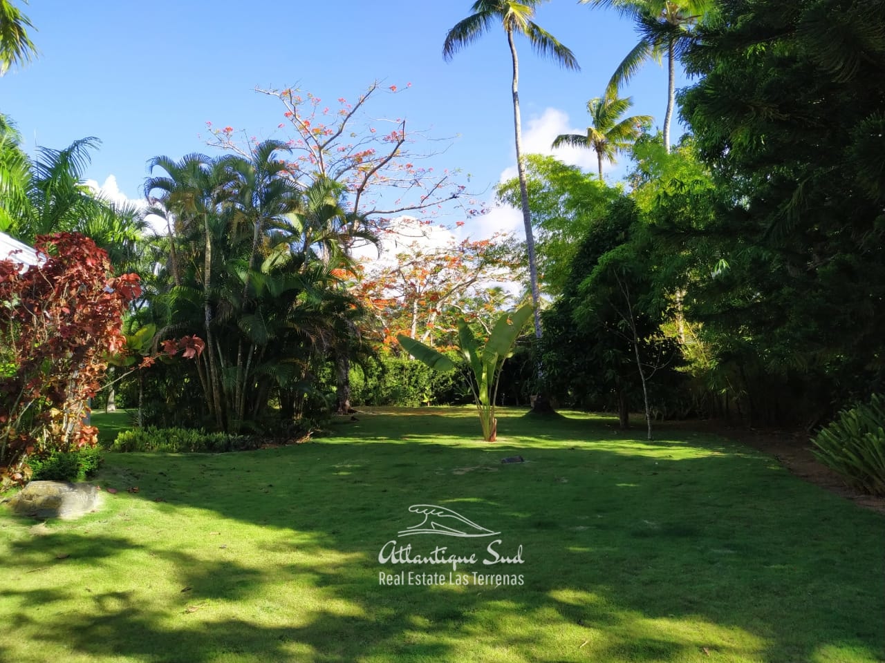 Garden villa for sale las terrenas-min.jpeg