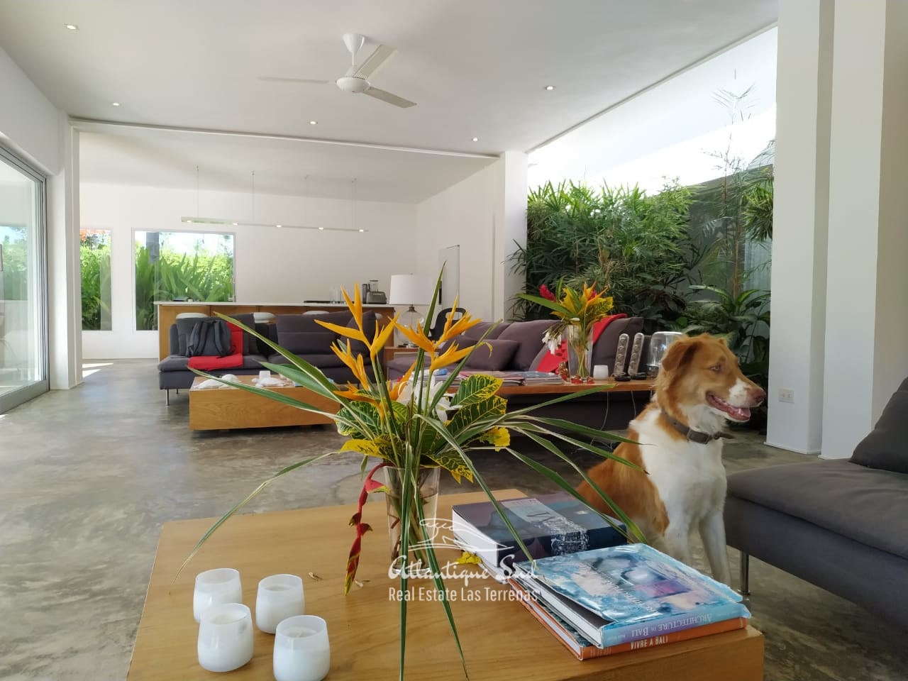 living room 2 villa for sale las terrenas-min.jpeg