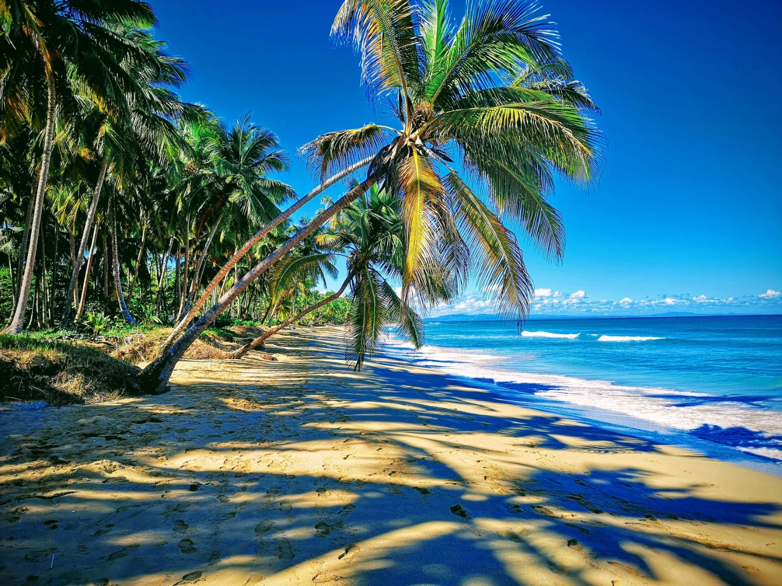 Virgin beach in las terrenas.jpeg
