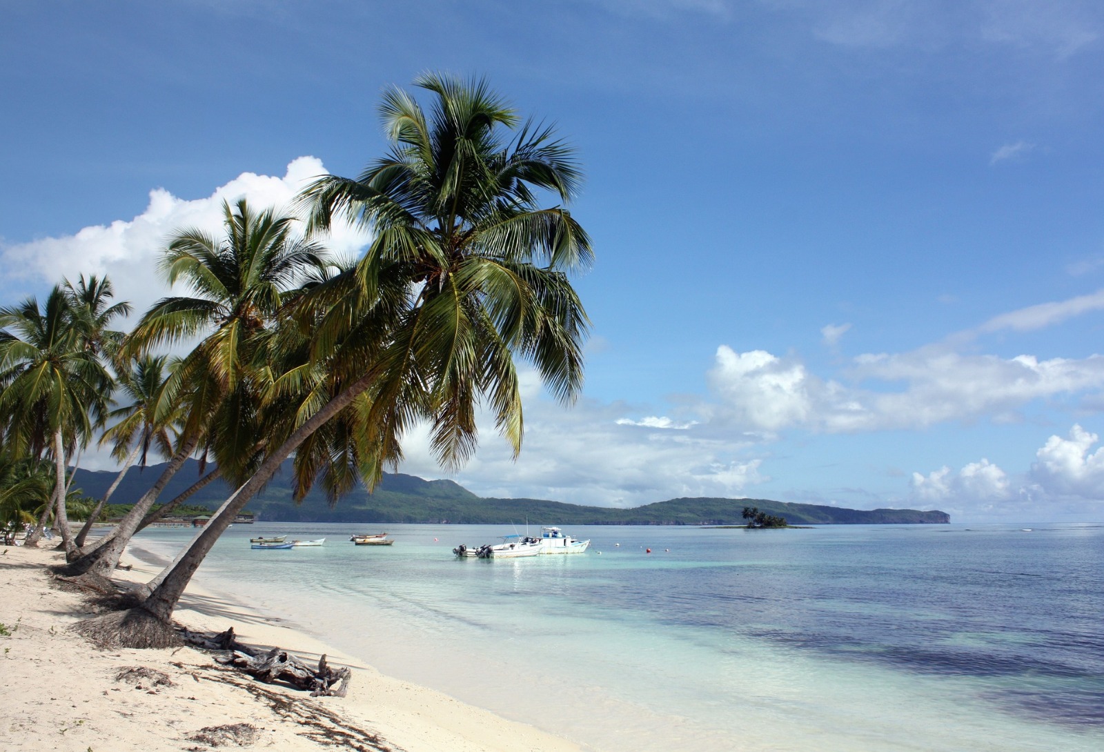 Las Galleras Dominican Republic.jpeg