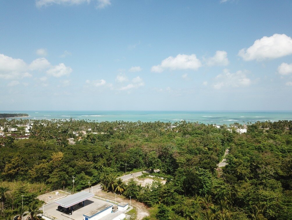 first line hill for sale las terrenas 1.jpeg