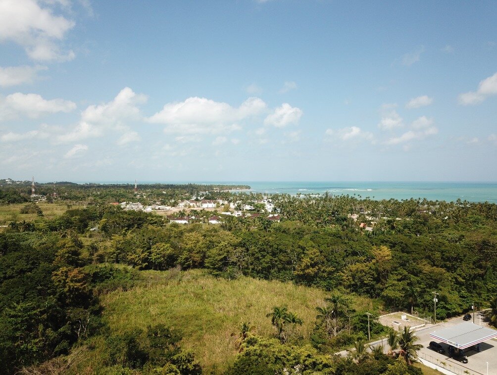 first line hill for sale las terrenas 2.jpeg