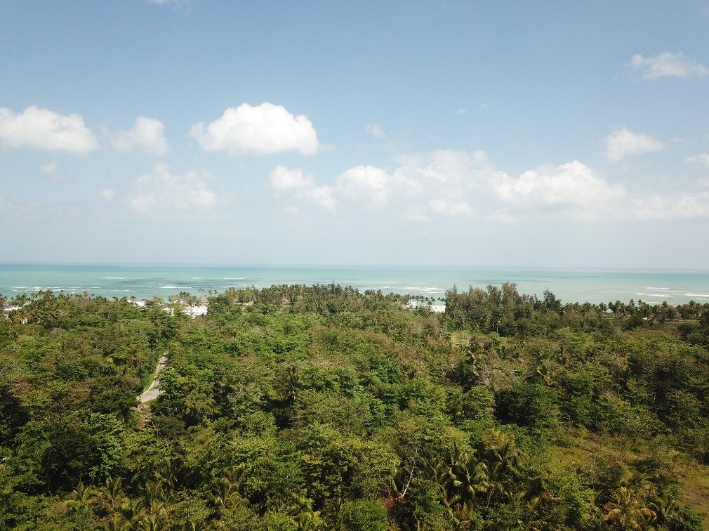 first line hill for sale las terrenas 3.jpeg
