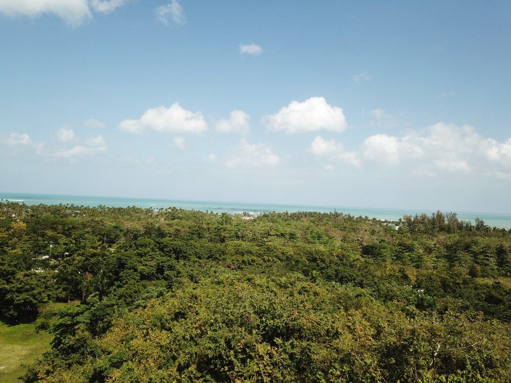 first line hill for sale las terrenas 4.jpeg