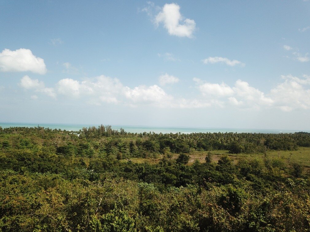first line hill for sale las terrenas 5.jpeg