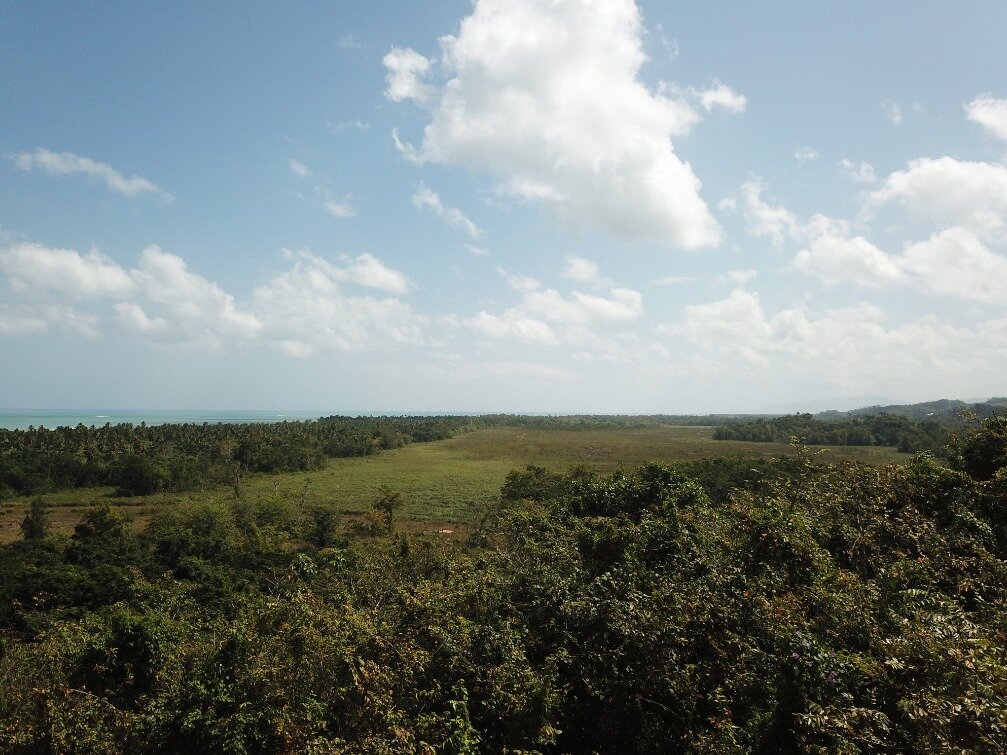 first line hill for sale las terrenas 6.jpeg