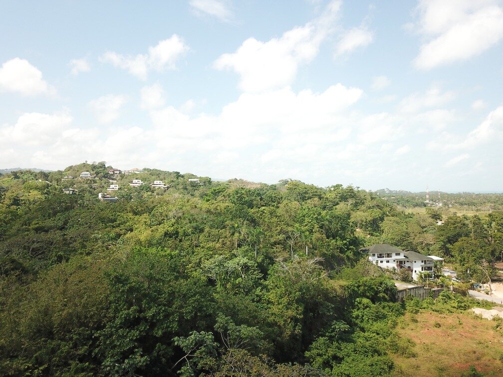 first line hill for sale las terrenas 8.jpeg