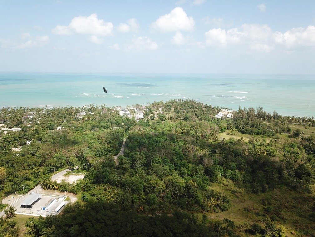 first line hill for sale las terrenas 9.jpeg