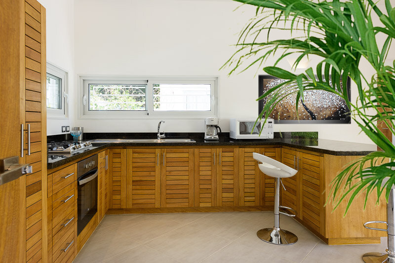 Modern villa LT1.jpg
