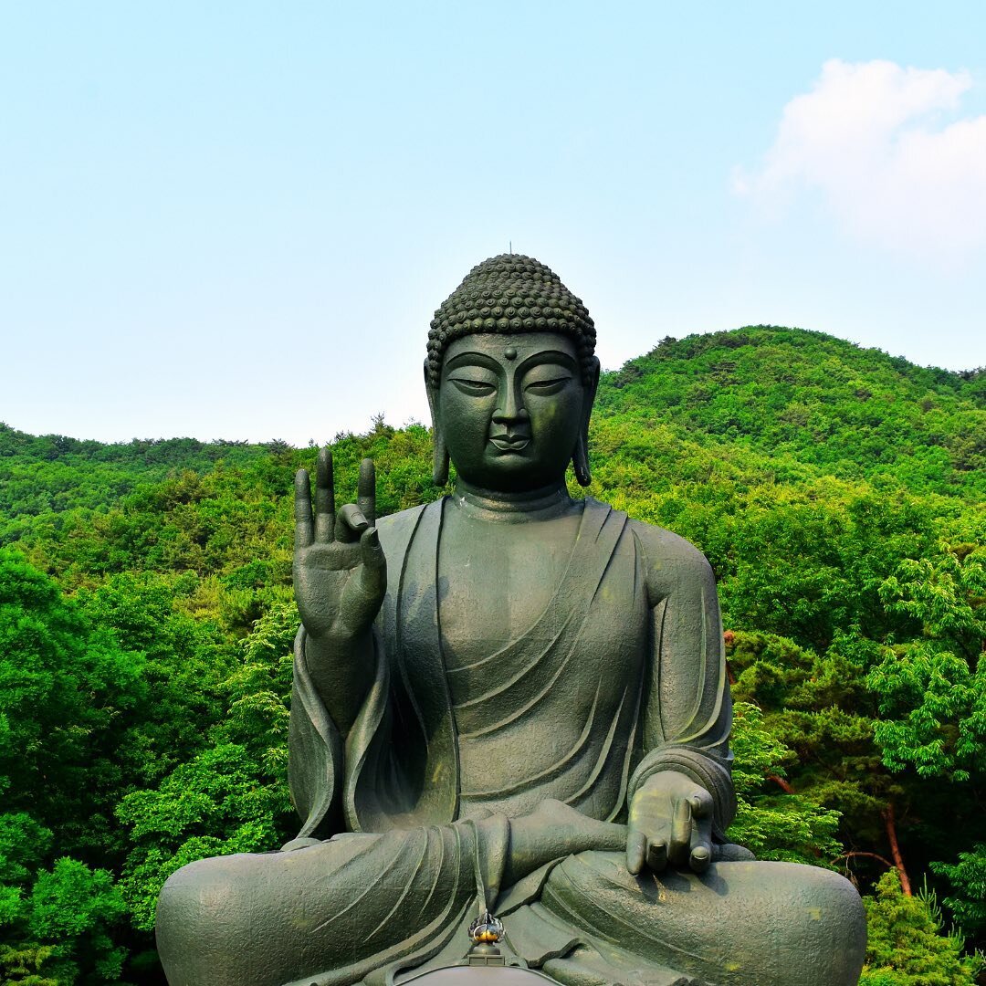 Buddha's birthday

#southkorea #buddha #buddhasbirthday #부처님 #석가탄신일 #불교