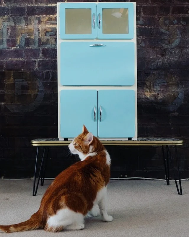 Suffolk county council asked us to create these reminiscence cabinets for people suffering with dementia. The idea is to fill the cabinet with things that can bring back a memory and start a conversation, anything from a football programme to an old postcard.