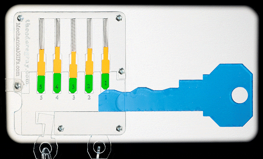 Gif Machine Create a Gif in 60 secs, No Animation Skills Needed